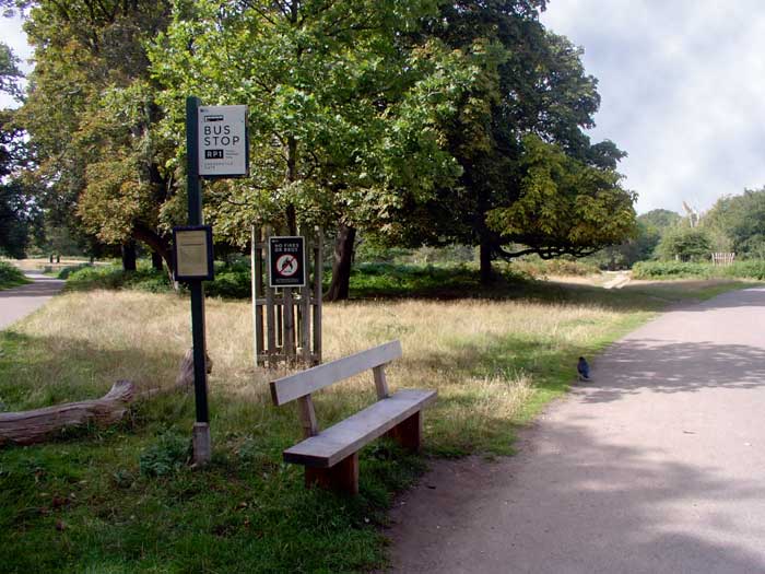 Richmond Park