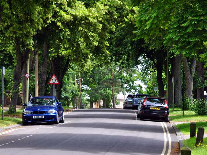 Morrell Avenue