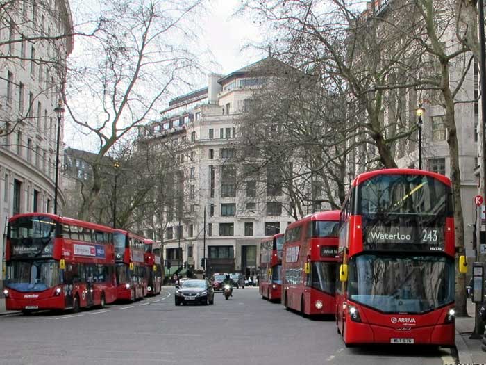Bus stops in Aldwych