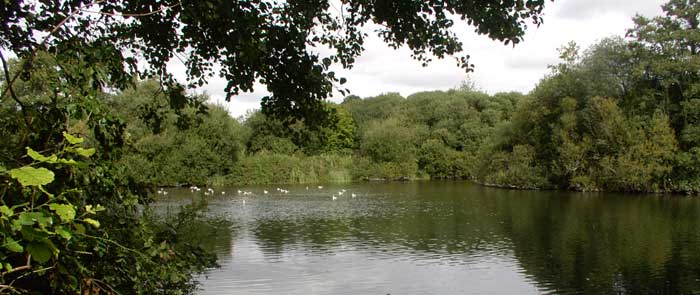 Anton Lakes