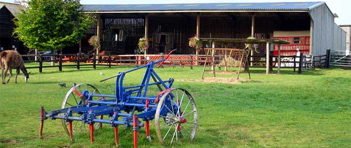 Finkley Down Farm and Country Park