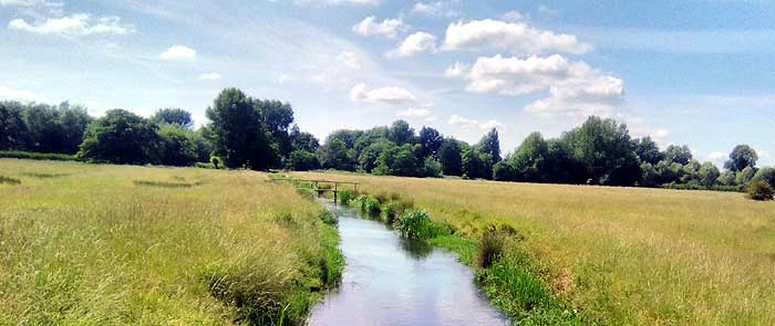 Harnham Water Meadows