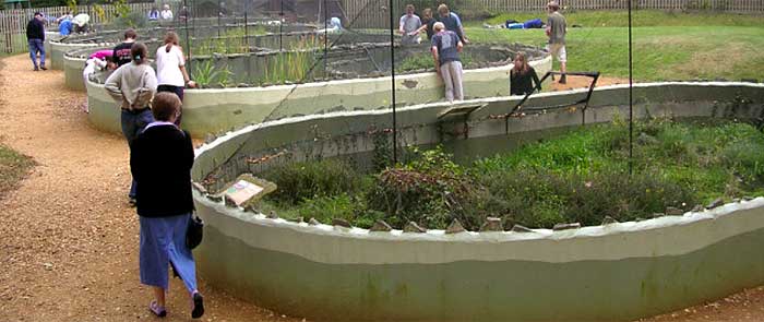 Holidays Hill Reptiliary