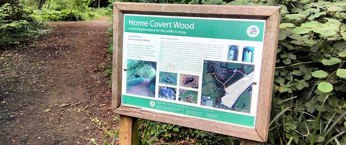 Home Covert Wood