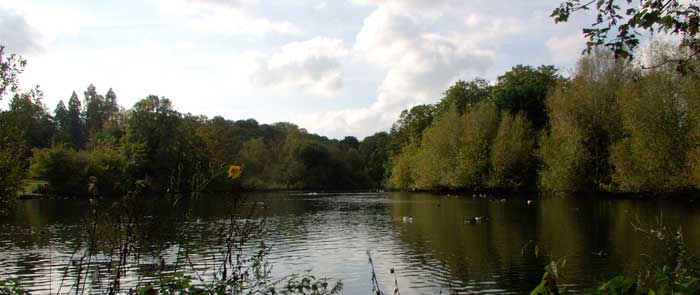 King&rsquo;s Pond