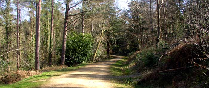 Lords Wood Greenway