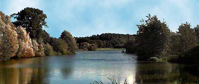 Moors Valley Country Park