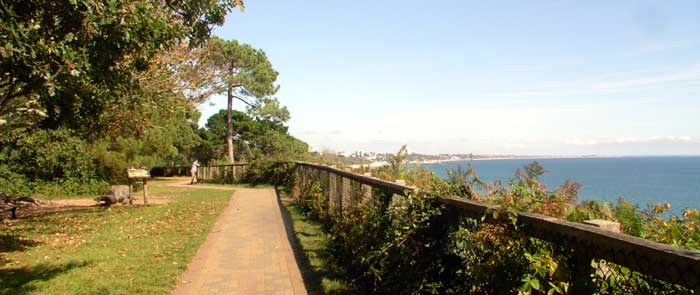 Pinecliff Gardens