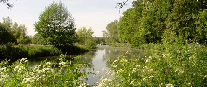Riverside Park Nature Reserve