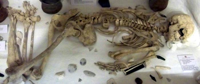 Salisbury and South Wiltshire Museum