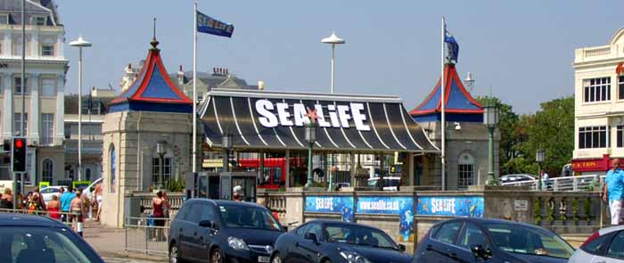 Sea Life Centre