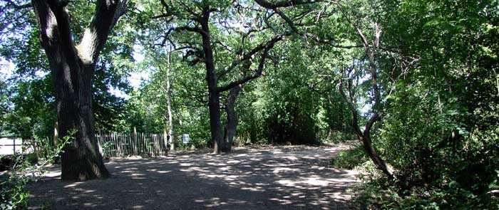 Wimbledon Common